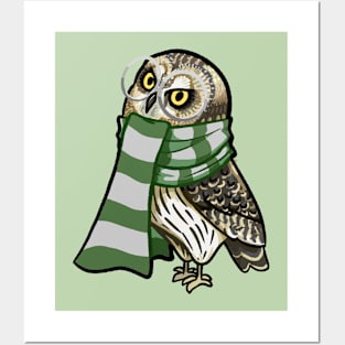 Cunning Short-Earred Owl Posters and Art